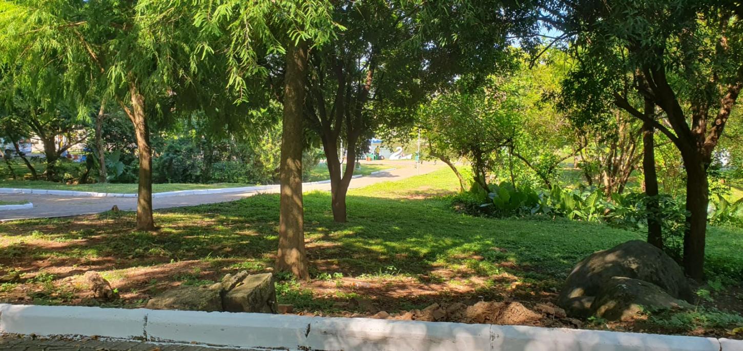 Bosque Parque dos Dick - Centro Lajeado/RS