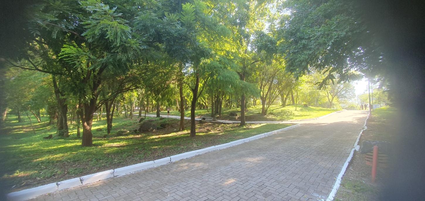 Bosque Parque dos Dick - Centro Lajeado/RS