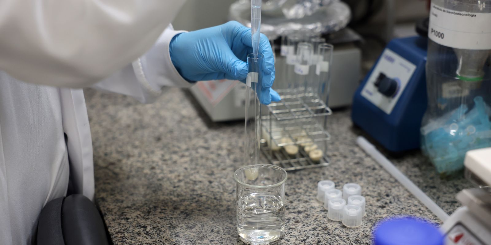 Doença de Newcastle: protocolos sanitários são cumpridos em SC