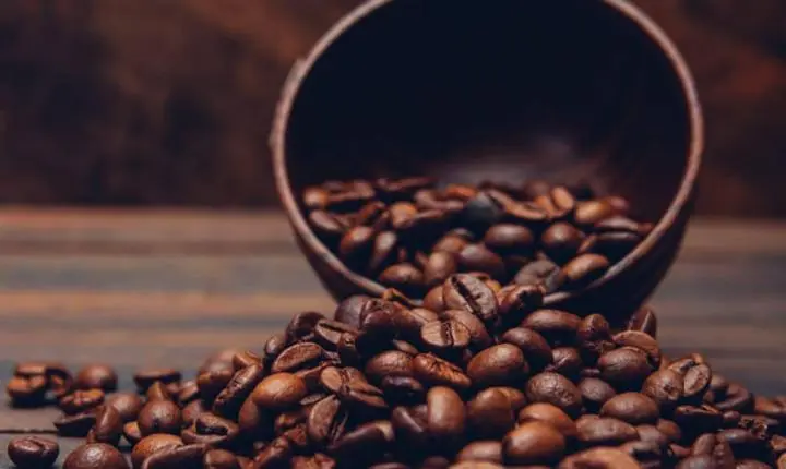 Café hoje: confira cotações para esta quarta-feira (13)